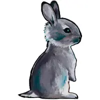 Citatplakat Plakat - A3 - Sweet Bunny - - OneSize - Plakat