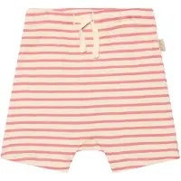 Petit Piao Shorts - Rib - Modal - Sea Shell Rosa - - 68 - Shorts