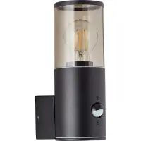 Brilliant Utendørs vegglampe Sergioro, 1 lyskilde med sensor