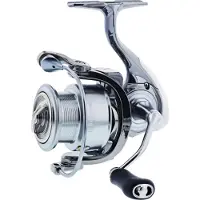 Kinetic Stardust Fiske Spinnehjul