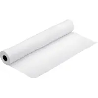 Epson Premium Semigloss Photo Paper (170) - Halvblank - Rull (152,4 cm x 30,5 m) 1 rull(er) fotopapir - for Stylus Pro 11880; Stylus Office B1100, ...