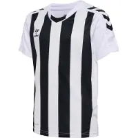 Hummel Core Xk Striped Kortarmet T-skjorte