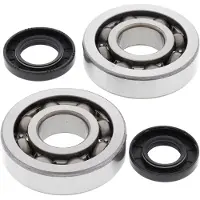 All Balls Kawasaki Kx250 2002-2008 Veivaksel Lager Og Tetningssett