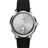 Timex Peanuts Tw2w68800 40mm 5atm Quartz/analogical Klokke