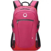 Delsey Nmd 13´´ Ryggsekk 11l