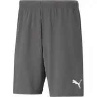 Puma Teamrise Shorts