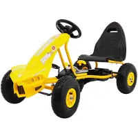 Joko gokart Chamiopn gul