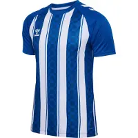 Hummel Match Striped Kortarmet T-skjorte