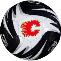 Franklin Nhl Senators Touch Fotball