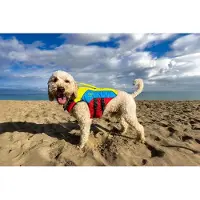 Spinlock hundesele FIDO str. M