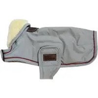 Kentucky Wp Hundegenser