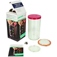 Weck 121462 Krukke