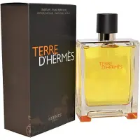 Hermès Paris Terre D' Parfum Spray