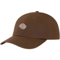 Dickies Hardwick Caps brun