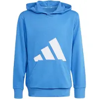Adidas Hettegenser - J BL FT - Rayblu/White - - 14 år (164) - Hettegenser