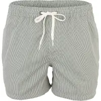 Quiksilver Everyday Deluxe Volley 15 Boardshorts grønn