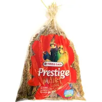 Versele-Laga Spray Hirse 1kg