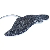 Wild republic Pil Med Rokkeørn