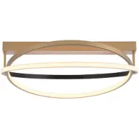 Q-SMART-HOME Paul Neuhaus Q-Beluga LED-taklampe, messing