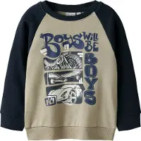 Name it Collegegenser - NmmVildar - Islandsk fossil/Boys - - 4 år (104) - Collegegenser
