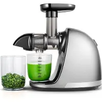 Amzchef 1501-GA sakte juicer