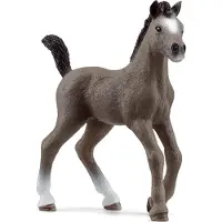 Schleich Horse Club - Selle Français-føL - H: 8 cm - 13957 - - OneSize - Lekedyr