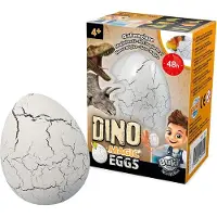 Buki Magisk egg,