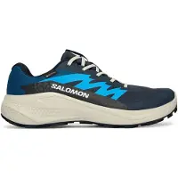 Salomon Alphaglide GTX, Løpesko, Herre, Blue Nights/Lunar Rock/French Blue