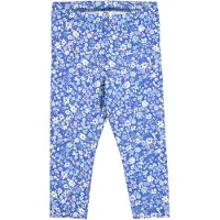 Green Cotton Leggings - Primrose - Asurblå Blue/Nektar/Tofu - - 68 - Leggings