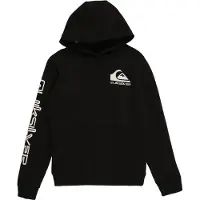 Quiksilver Omni Logo Hettegenser