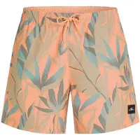 O'Neill Print 16'' Boardshorts oransj