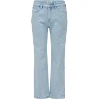 Salsa Jeans 21010920 Straight Fit Jeans
