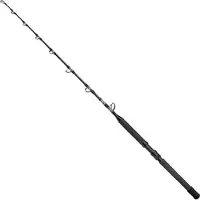 Shimano Fishing Tyrnos B Stand Up Spiral Bunn Fiskestang