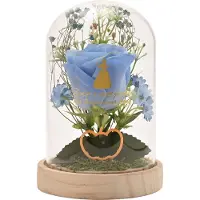 Widdop & Co. Disney-prinsesse Askepott Figur