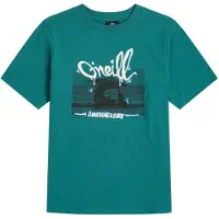O'Neill Slub Graphic Kortarmet T-skjorte