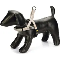 Beeztees Premium Parinca Hundesele