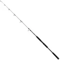 Mitchell Tanager Sw Jigging Stang