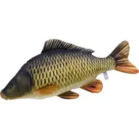 Gaby The Common Carp Giant Pute