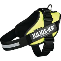 Julius-K9 k9 IDC sele, str.: 2, neongrøn 71-96 cm