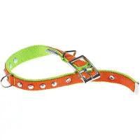 Ferplast Dual 20 Mm 43 Cm Hundehalsbånd