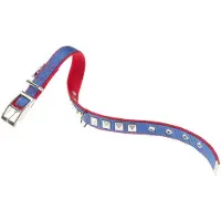 Ferplast Dual 25 Mm 45 Cm Hundehalsbånd