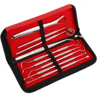 INF Tannpleiesett - 9 instrumenter med skrin Silver