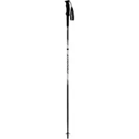 Dynafit Alpine Pro Spaserstokker