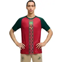 Puma Morocco Warmup Jersey Men, Football, Dark Crimson/Dark Myrtle, XXL