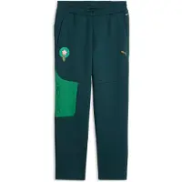 Puma Morocco PUMATECH Sweatpants Men, Football, Green Terrain/Victory Gold, M