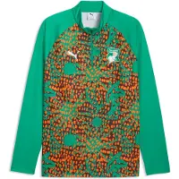 Puma Côte d'Ivoire Warmup Quarter-Zip Top Men, Performance, Sport Green/Chocolate Brown, M