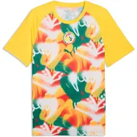 Puma Senegal Warmup Jersey Men, Performance, Pelé Yellow/Wild Green, L