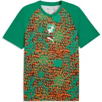 Puma Côte d'Ivoire Warmup Jersey Men, Performance, Sport Green/Chocolate Brown, XL