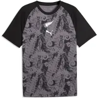 Puma New Zealand Warmup Jersey Men, Football, Black/Silver, S