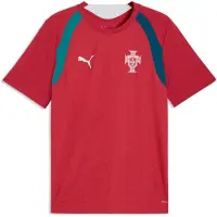 Puma Portugal Slim Training Jersey Men, Football, Club Red/Silver Mist, XL